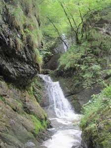 Rio Frassineto - Verschneid Bach - 
        Confluenza con il Rio Meltina
    