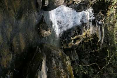 Torrente Sansobbia - 
        Ambiente boscoso con roccia molto scolpita
    